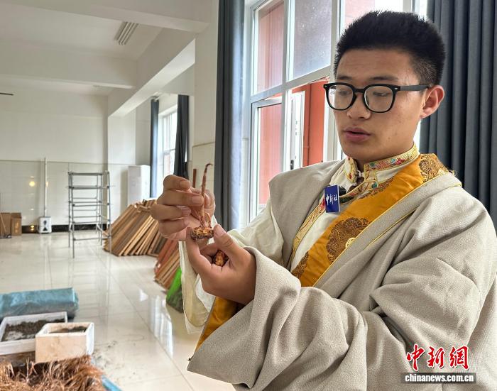 深度战术分析，洞悉比赛胜负玄机 - 世界杯数据分析